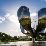 Flor de Lotto en un parque de Buenos Aires