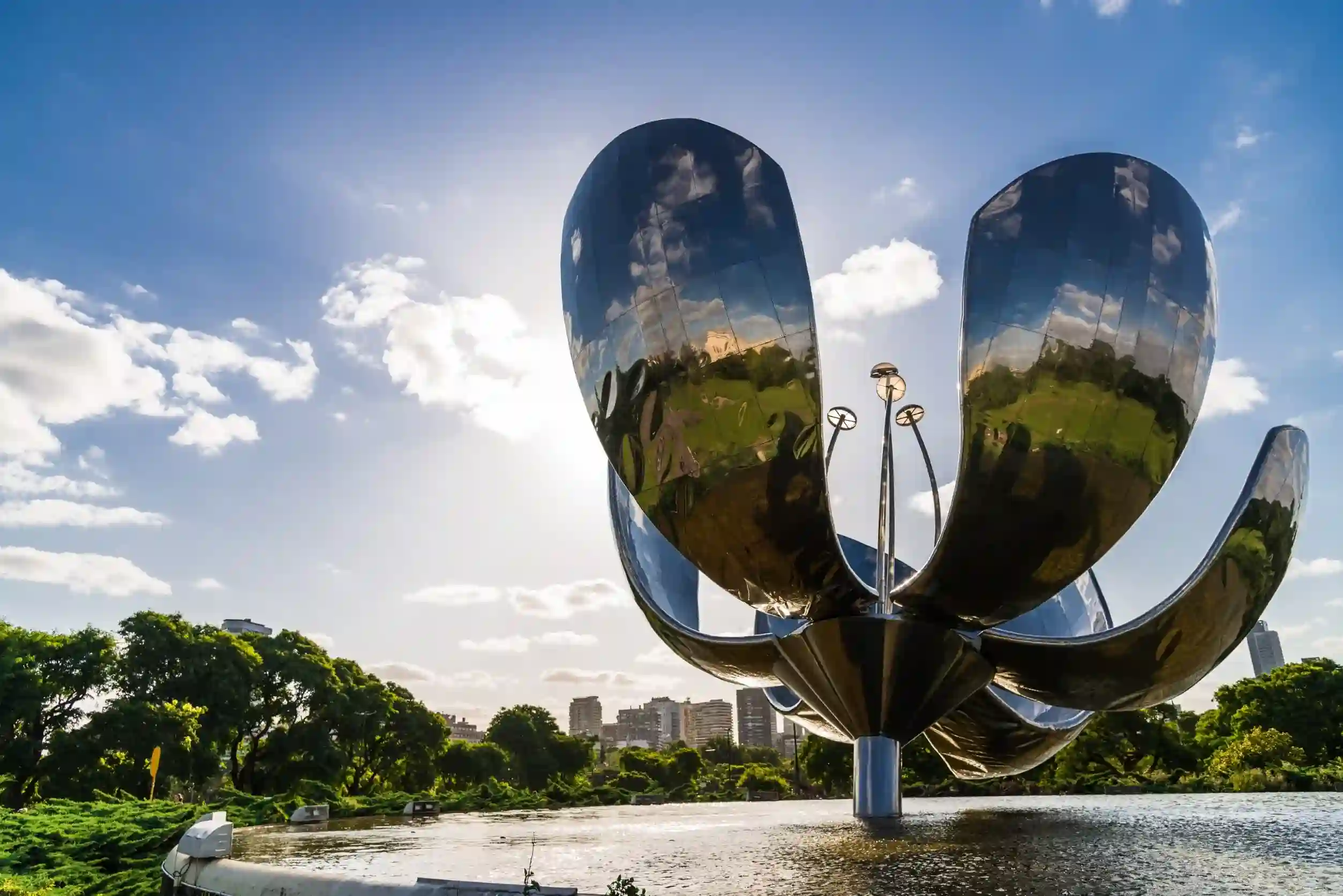 Flor de Lotto en un parque de Buenos Aires
